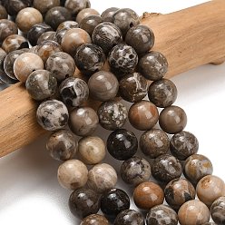 Corail Fossile Fossiles naturelle perles de corail brins, lisse et rond, 10mm, Trou: 1.2mm, Environ 40 pcs/chapelet, 15.35~15.55 pouce (39~39.5 cm)