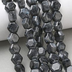 Larvikite Natural Larvikite Beads Strands, Hexagon, 10~10.5x11~11.5x6.5~7mm, Hole: 1mm, about 37~38pcs/strand, 15.04~15.16''(38.2~38.5cm)