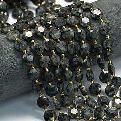 Larvikite Натуральные нити бус из ларвикита, граненый шестиугольный разрез, плоско-круглые, с бисером, 10~10.5x6 мм, отверстие : 1 мм, около 31~32 шт / нитка, 15.35''~15.55'' (39~39.5 см)