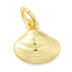 Настоящее золото 18K Латунь прелести, формы раковины, долговечный, стойки покрытие, с целью перехода в кольце, реальный 18 k позолоченный, 11x10.5x3 мм, отверстие : 3.2 мм