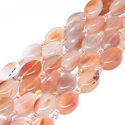 Сэнди Коричневый Натуральный полосатый агат / полосатые агатовые бусы, окрашенная и подогревом, овальные, песчаный коричневый, 23~26x16~19x5~10 мм, отверстие : 1.6 мм, около 12~13 шт / нитка, 15.4 дюйм (39 см)