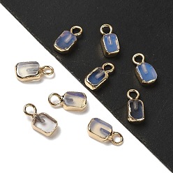 Опал Опалитовые прямоугольные подвески, с золотым оттенком латуни, 9.5x5x2.5 мм, отверстие : 2 мм