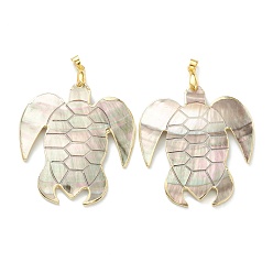 Black Lip Shell Natural Black Lip Shell Pendants, with Golden Plated Brass Findings, Sea Turtle, 49x44x2mm, Hole: 4x3.5mm
