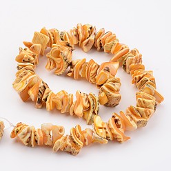 Orange Natural Shell Bead Strands, Dyed, Nuggets, Orange, 10~20x8~12x3~6mm, Hole: 1mm, about 15.7 inch