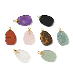 Смешанные камни Подвески из натурального кварцевого кристалла, тигрового глаза, аметиста, амазонита, обсидиана, зеленого авантюрина, красной яшмы и розового кварца, подвески овальной формы с латунными дужками золотистого оттенка, 19~20.5x12~12.3x3~3.5 мм, отверстие : 1.5 мм