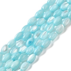 Light Cyan Natural Trochus Shell Beads Strands, Dyed, Rice, Light Cyan, 5x3~3.5mm, Hole: 0.7mm, about 81~82pcs/strand, 15.39''~15.51''(39.1~39.4cm)