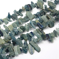 Natürlichen Edelstein Naturstein Perlen Stränge, Chip, Klasse A, 10~30x5~13x3~6 mm, Bohrung: 1 mm, ungefähr 15.7 Zoll