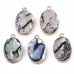 Paua Shell Natural Paua Shell Pendants, with Edge Brass Golden Plated and Iron Loops, Half Drilled, Oval, 21x13x4.5mm, Hole: 1~1.8mm