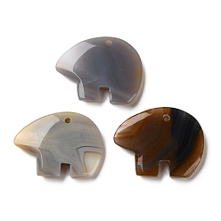 Серый агат Природные серые агаты подвески, амулеты в виде медведя зуни, 36~38x47~50x7.5~9 мм, отверстие : 3 мм