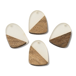 Camel Luminous Glow in the Dark Wood & Resin Pendant, Arch Charms, Camel, 28x20x3mm, Hole: 2mm