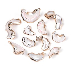 Морская Ракушка Подвески из натуральных морских ракушек, покрытые гальваническим способом, самородки прелести, с медными петлями, золотые, цвет морской раковины, 21~45x15~27x8.5~20 мм, отверстие : 1.6~1.8 мм