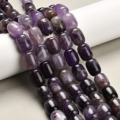 Аметист Природный аметист нитей бисера, колонка, 16x13 мм, отверстие : 1.2 мм, около 35 шт / нитка, 16.14'' (41 см)