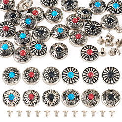 (52) Непрозрачная лаванда 24 шт. 12 стили цинковый сплав и синтетические бирюзовые кнопки, 1-луночное, плоско-круглые, разноцветные, 12x5 мм, отверстие : 2~2.5 мм, 2 шт / стиль