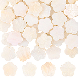 Кремово-белый 2 нити из натуральных пресноводных ракушек, цветок, кремово-белые, 12~13x12~13x2~3.5 мм, отверстие : 1 мм, около 29~30 шт / нитка, 14.37 дюйм (36.49 см)