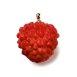 Litchi Латунные подвески из акрила, без свинца и без кадмия, стойки покрытие, долговечный, золотые, личи, 17x14x12 мм, отверстие : 1.6 мм