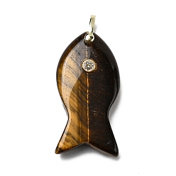 Тигровый глаз Природных тигровый глаз подвески, подвески в виде рыбок с латунной микрофиброй и фианитами, золотые, стойки покрытие, 39~40.5x19.5~20.5x9.5~10.5 мм, отверстие : 4.5x5 мм