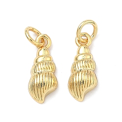 Настоящее золото 18K Латунь прелести, подвески в форме ракушек, стойки покрытие, долговечный, без кадмия и без свинца, реальный 18 k позолоченный, 14.5x6x3.5 мм, Перейти кольцо: 5x1 мм, внутренний диаметр: 3 мм
