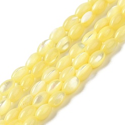 Yellow Natural Trochus Shell Beads Strands, Dyed, Rice, Yellow, 5x3~3.5mm, Hole: 0.7mm, about 81~82pcs/strand, 15.39''~15.51''(39.1~39.4cm)