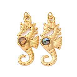 Sea Horse 304 подвески из натуральной ракушки пауа из нержавеющей стали, прелести морских животных, с прыжковых колец, реальный 18 k позолоченный, ионное покрытие (ip), морской конек, 31.5x13x2 мм, отверстие : 2.5 мм