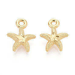 Морская звезда Латунь прелести, долговечный, без никеля , реальный 18 k позолоченный, морская звезда, 12x9.5x2.5 мм, отверстие : 1.4~1.5 мм