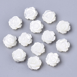 Морская Ракушка Натуральная оболочка, двухсторонний, цветок, цвет морской раковины, 10x5 мм, отверстие : 0.8 мм