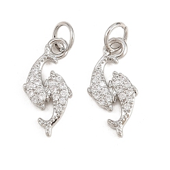 Platinum Rack Plating Brass Micro Pave Cubic Zirconia Pendants, Lead Free & Cadmium Free, Dolphin, Platinum, 16.5x8x2mm, Hole: 3mm