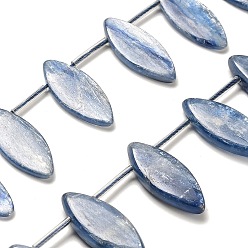 Кианит Натуральный кианитовые бисер пряди, лошадиный глаз , Топ пробуренной, с пластиковыми трубчатыми бусинами, 24~25x9.5~10x3~5 мм, отверстие : 0.7~0.8 мм, около 25 шт / нитка, 17.52''~18.50'' (44.5~47 см)