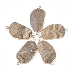 Пейзажный Джаспер Гальванические соединители с натуральным изображением яшмы, С золотыми результатами железа, самородки, 42~46x23.5x7~9 мм, отверстие : 1.8 мм