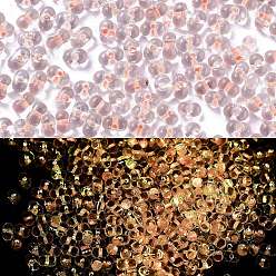 Легкий Лосось Светящиеся стеклянные бусины, светится в темноте, арахис, светлый померанцевый, 2.5x4x2 мм, отверстие : 0.8 мм, Около 11250 шт / фунт