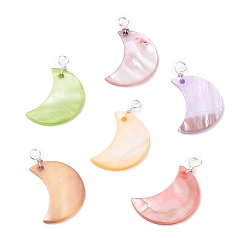 Mixed Color Natural Freshwater Shell Pendants, with Silver Copper Wire Finding, Moon, Mixed Color, 28.5x18.5x2mm, Hole: 3mm