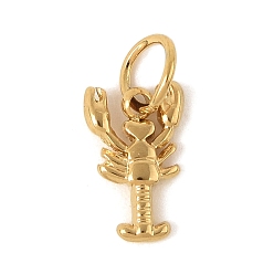 Креветка 304 прелести нержавеющей стали, с целью перехода в кольце, Морские животные, золотые, омар, 12x7x2 мм, отверстие : 3 мм