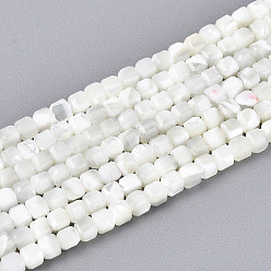 Кремово-белый Натуральная оболочка из трохидных оболочек, граненый стол, вырезанный куб, кремово-белые, 2~2.5x2~2.5x2~2.5 мм, отверстие : 0.6 мм, около 157~164 шт / нитка, 14.96~15.35 дюйм (38~39 см)