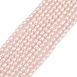 Розовый Гальванические оболочки жемчужные бусы пряди, рис, туманная роза, 3x2.5 мм, отверстие : 0.8 мм, около 119 шт / нитка, 15.94'' (40.5 см)
