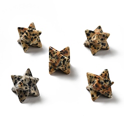Далматинских Джаспер Натуральный Далматинские яшмы бусы, нет отверстий / незавершенного, Звезда Меркабы, 14.5~15x14.5~15x14.5~15 мм