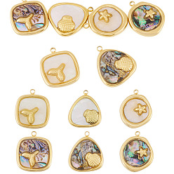 Mixed Shapes 6Pcs 6 Styles 304 Stainless Steel Pave Natural Mixed Shell Pendants, Golden, Mixed Shapes, 18.5~19x15.5~16x2.5~3mm, Hole: 1.5mm, 1pc/style