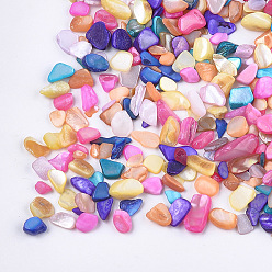 Colorful Shell Beads, For Nail Art Decoration Accessories, No Hole/Undrilled, Dyed, Chips, Colorful, 2~13x2~5x0.5~4mm, about 450g/bag