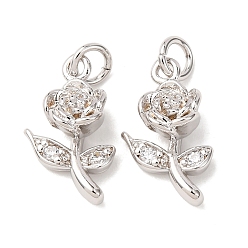 Платина Латунные подвески, , без кадмия и без свинца, стойки покрытие, долговечный, с целью перехода в кольце, платина, 13.5x8x4.5 мм, отверстие : 2.3 мм