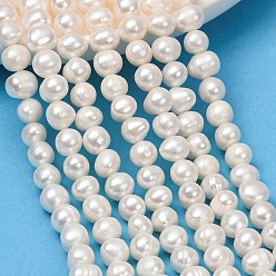 Old Lace Natural Cultured Freshwater Pearl Beads Strands, Potato, Grade 2A++, Old Lace, 7~8mm, Hole: 0.5mm, about 50~59pcs/strand, 13.58''(34.5cm)