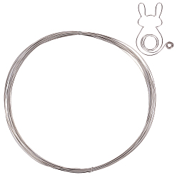 Stainless Steel Color 10M Titanium Wire, Round, for DIY Craft, Stainless Steel Color, 0.5mm, 24 Gauge, about 32.81 Feet(10m)/Set