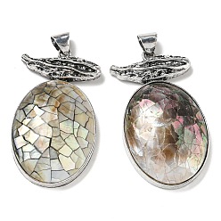Tan Natural Paua Shell Big Pendants, Antique Silver Plated Alloy Oval Charms, Tan, 57x32x11.5mm, Hole: 7.5x6.5mm