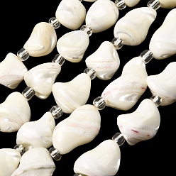 Морская Ракушка Натуральная оболочка из трохидных оболочек, с бисером, самородки, цвет морской раковины, 11~23x11~17x9~13 мм, отверстие : 1 мм, около 10 шт / нитка, 6.89'' (17.5 см)