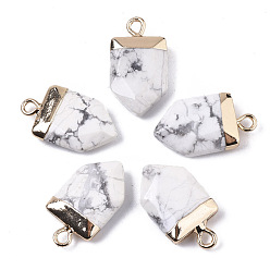 Говлит Натуральные ослитовые подвески, с позолоченным верхом и латунной петлей, стрелка, граненые, 19x10.5x4.5 мм, отверстие : 1.8 мм