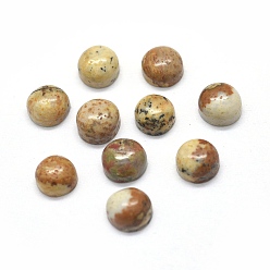 Пейзажный Джаспер Естественная картина яшма кабошоны, полукруглые / купольные, 4x1.5~2.5 мм