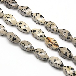 Dalmatian Jasper Natural Twist Dalmatian Jasper Beads Strands, 16x8x8mm, Hole: 1mm, about 25pcs/strand, 15.74 inch