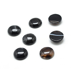 Полосатый Агат Окрашенные натуральные полосатые агаты / полосатые агаты драгоценного камня кабошоны, полукруглый, 18x6.5 мм