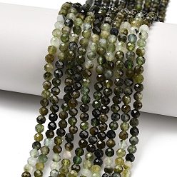 Турмалин Нити бусин из натурального зеленого турмалина, градиент цвета, граненые, круглые, 4 мм, отверстие : 0.6 мм, около 100~101 шт / нитка, 15.35~15.55'' (39~39.5 см)