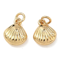 Настоящее золото 18K Латунные подвески, подвески в форме ракушек, без свинца и без кадмия, стойки покрытие, долговечный, реальный 18 k позолоченный, 10x8x3.5 мм, Перейти кольцо: 4x0.8 мм, внутренний диаметр: 2.5 мм