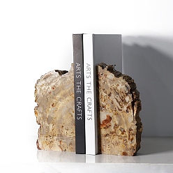 Деревянное Окаменение Подставки для книг из натурального окаменелого дерева, Неправильные каменные ограничители для книг, подходящие для дома, офиса и декора., 60x160x250 мм