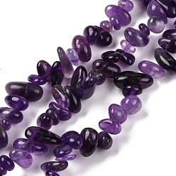 Аметист Природный аметист чипов бисера пряди, упавший камень, 8x6 мм