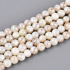 Морская Ракушка Нити бусин из натуральных пресноводных ракушек цвета ab, круглые, цвет морской раковины, 4 мм, отверстие : 0.7~0.9 мм, около 100~103 шт / нитка, 14.76~15.20'' (37.5~38.6 см)